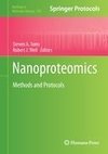 Nanoproteomics