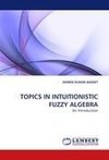 TOPICS IN INTUITIONISTIC FUZZY ALGEBRA
