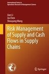 Risk Management of Supply and Cash Flows in Supply Chains