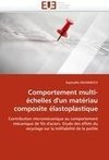 Comportement multi-échelles d'un matériau composite élastoplastique