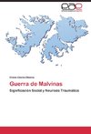 Guerra de Malvinas