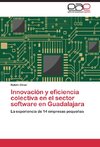 Innovación y eficiencia colectiva en el sector software en Guadalajara