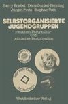 Selbstorganisierte Jugendgruppen zwischen Partykultur und politischer Partizipation