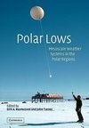 Polar Lows