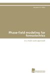 Phase-field modeling for ferroelectrics