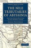 The Nile Tributaries of Abyssinia