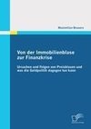 Von der Immobilienblase zur Finanzkrise: Ursachen und Folgen von Preisblasen und was die Geldpolitik dagegen tun kann