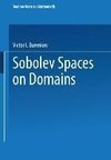 Sobolev Spaces on Domains