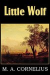 Little Wolf, a Tale of the Western Frontier