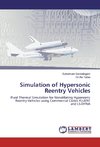 Simulation of Hypersonic Reentry Vehicles