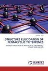 STRUCTURE ELUCIDATION OF PENTACYCLIC TRITERPENES