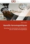 Nanofils ferromagnétiques