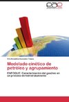 Modelado cinético de petróleo y agrupamiento