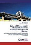 Survival Strategies in Hyperinflation for Manufacturing Firms (Harare)