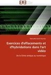 Exercices d'effacements et d'hybridations dans l'art vidéo