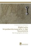 Elektrische Impedanztomografie in der Geoelektrik