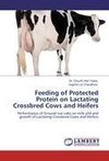 Feeding of Protected Protein on Lactating Crossbred Cows and Heifers