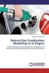 Natural Gas Combustion Modelling in IC Engine