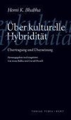 Über kulturelle Hybridität