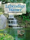 Lebendige Wasser. Wasserläufe und Brunnen