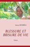 BLESSURE ET BRISURE DE VIE