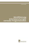 Identifizierung ectomesenchymaler cornealer Progenitorzellen