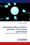 Antioxidant effects of Mn2+ and Cd2+ in the human spermatozoa