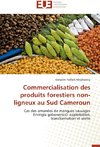 Commercialisation des produits forestiers non-ligneux au Sud Cameroun