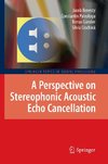 A Perspective on Stereophonic Acoustic Echo Cancellation