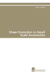 Shear Evolution in Small Scale Avalanches