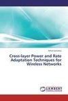 Cross-layer Power and Rate Adaptation Techniques for Wireless Networks