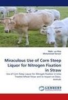 Miraculous Use of Corn Steep Liquor for Nitrogen Fixation in Straw