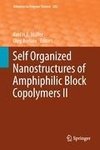 Self Organized Nanostructures of Amphiphilic Block Copolymers II