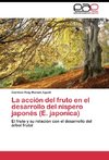 La acción del fruto en el desarrollo del níspero japonés (E. japonica)