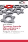 Economías de escala, eficiencia frontera y cambio técnico