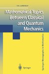 Mathematical Topics Between Classical and Quantum Mechanics