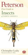 Peterson First Guide to Insects