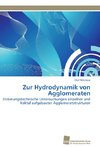 Zur Hydrodynamik von Agglomeraten