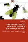 Inventaire des insectes vecteurs du virus de la panachure jaune du riz