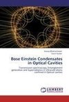 Bose Einstein Condensates in Optical Cavities