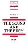 New Essays on the Sound and the Fury