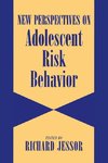 New Perspectives on Adolescent Risk Behavior