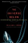 The Universe Below