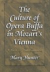 The Culture of Opera Buffa in Mozart's Vienna