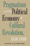 Pragmatism and the Political Economy of Cultural Evolution