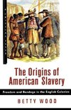 The Origins of American Slavery