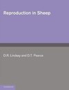 Reproduction in Sheep