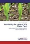 Simulating the Growth of a Maize Plant