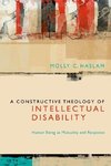 Constructive Theology of Intellectual Disability