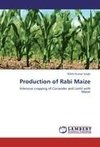 Production of Rabi Maize